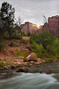 Zion National Park